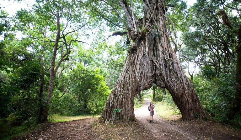 Arusha National Park