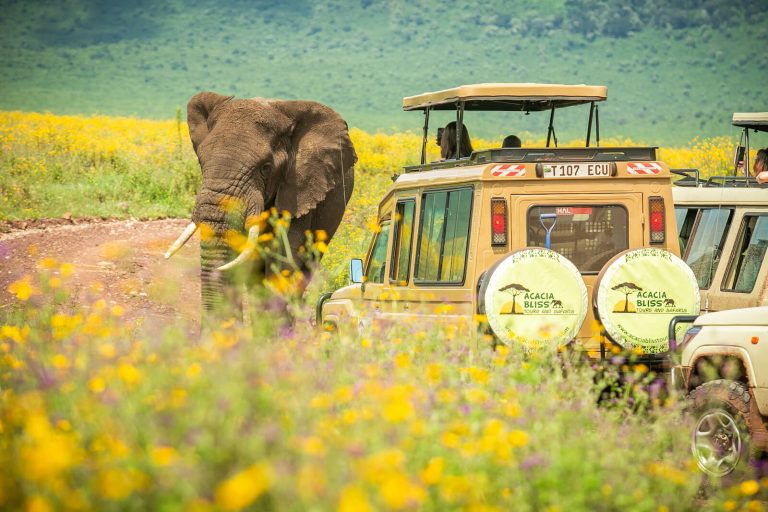 The Ngorongoro Crater