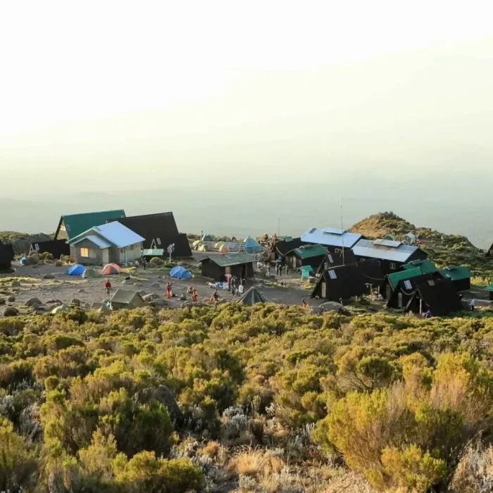 6 Days Marangu Route huts