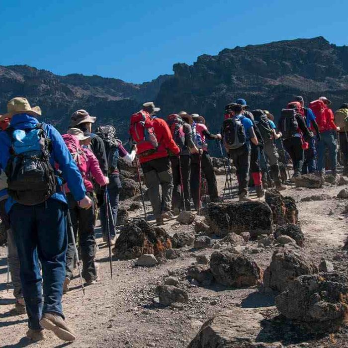 7 Days Machame Route 1